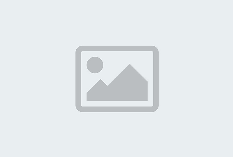 Home Paramount Pest Control reviews